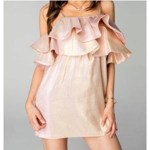 NWT BUDDY LOVE Mini Kelsey Dress in Pink